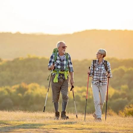 Trekking Poles