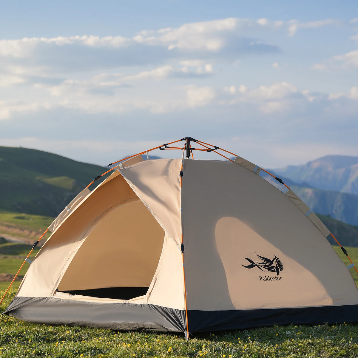 PAKICETUS Instant Pop Up Dome Tent 2-4 Person Easy Setup Polyester Fiber Portable Outdoor Tent Misty Gray Quicksand Gold For Camping Hiking Road Trips Backyard Picnic